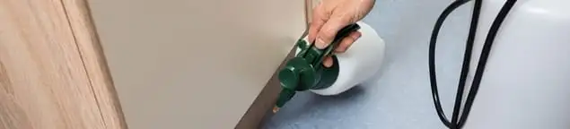 Bed bug exterminator treating baseboards and cracks with targeted spray in Omaha, NE