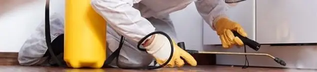 Roach exterminator treating cracks and crevices along kitchen baseboards in Omaha, NE