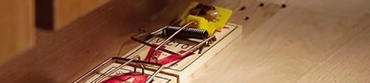 Rodent trap set indoors for rodent control and prevention in Omaha, NE